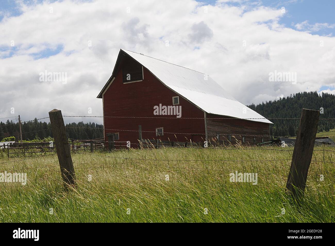 southwick/Nez Perce County/Idaho/USA. 23.Juni 2018.-Alte Scheunen und Autos und Picknicks als Müll oder Kunst oder alte Geschichte der Vereinigten Staaten von Amerika. Und alte Lebensweise Southwick Nez Perce County nördlichen Idaho. (Foto.Francis Dean / Deanpictures. Stockfoto