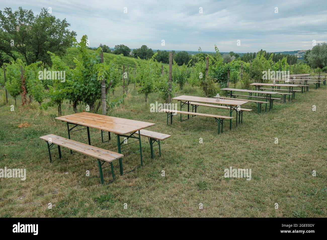 Holztische und Stühle in den Weinbergen. Restaurant in der Weinkellerei. Reisen, Gastrotourismus Stockfoto