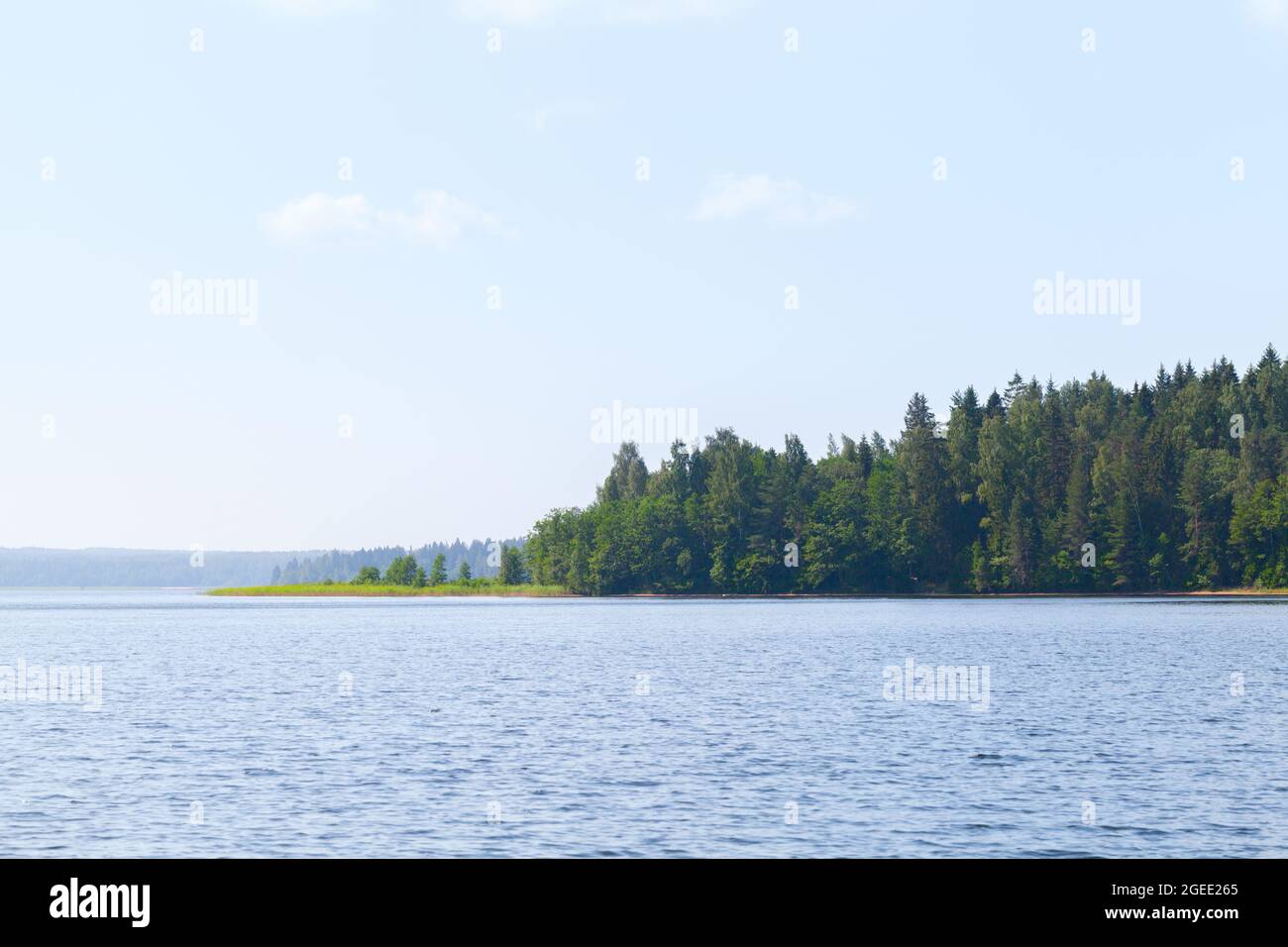 Sommerlandschaft mit Wald an einer leeren Seenküste an einem Sommertag. Natürliches Hintergrundfoto Stockfoto
