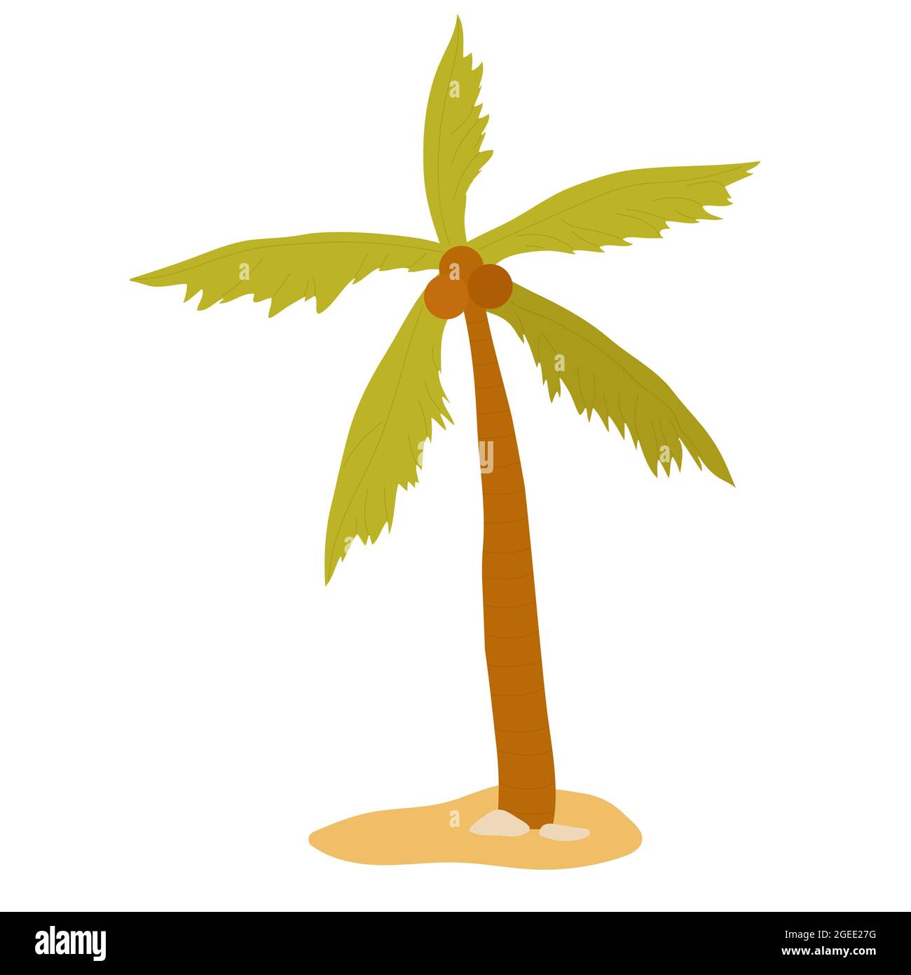 Kokospalme, exotische Sommer Meer Strand Pflanzen Vektor-Illustration. Cartoon Strandpalme wächst im Sand, Paradies Natur am Meer isoliert auf weiß Stock Vektor