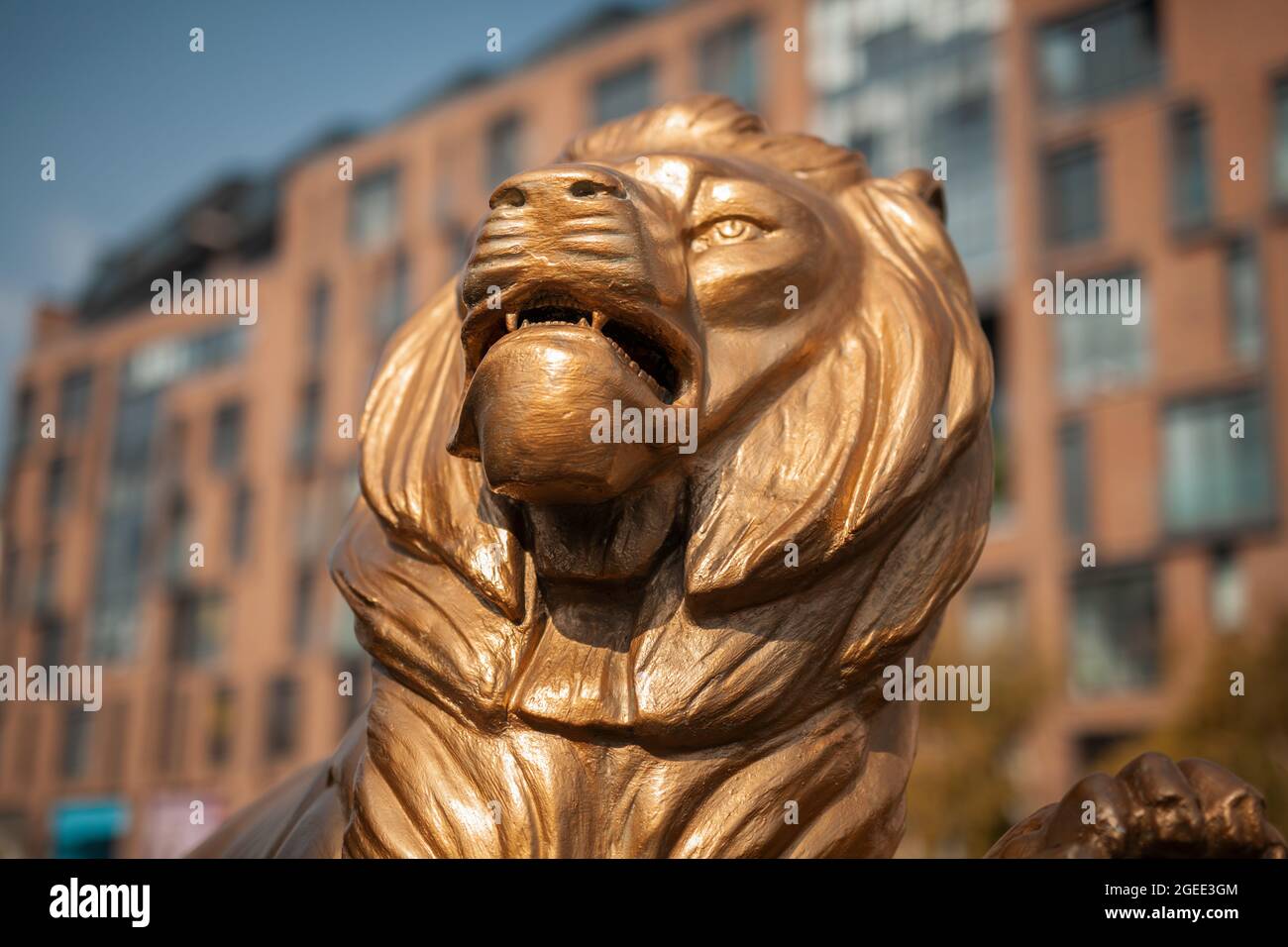 Detail einer schönen goldenen Löwenstatue im Stadtteil Koprubasi im Stadtzentrum von Eskisehir. Stockfoto