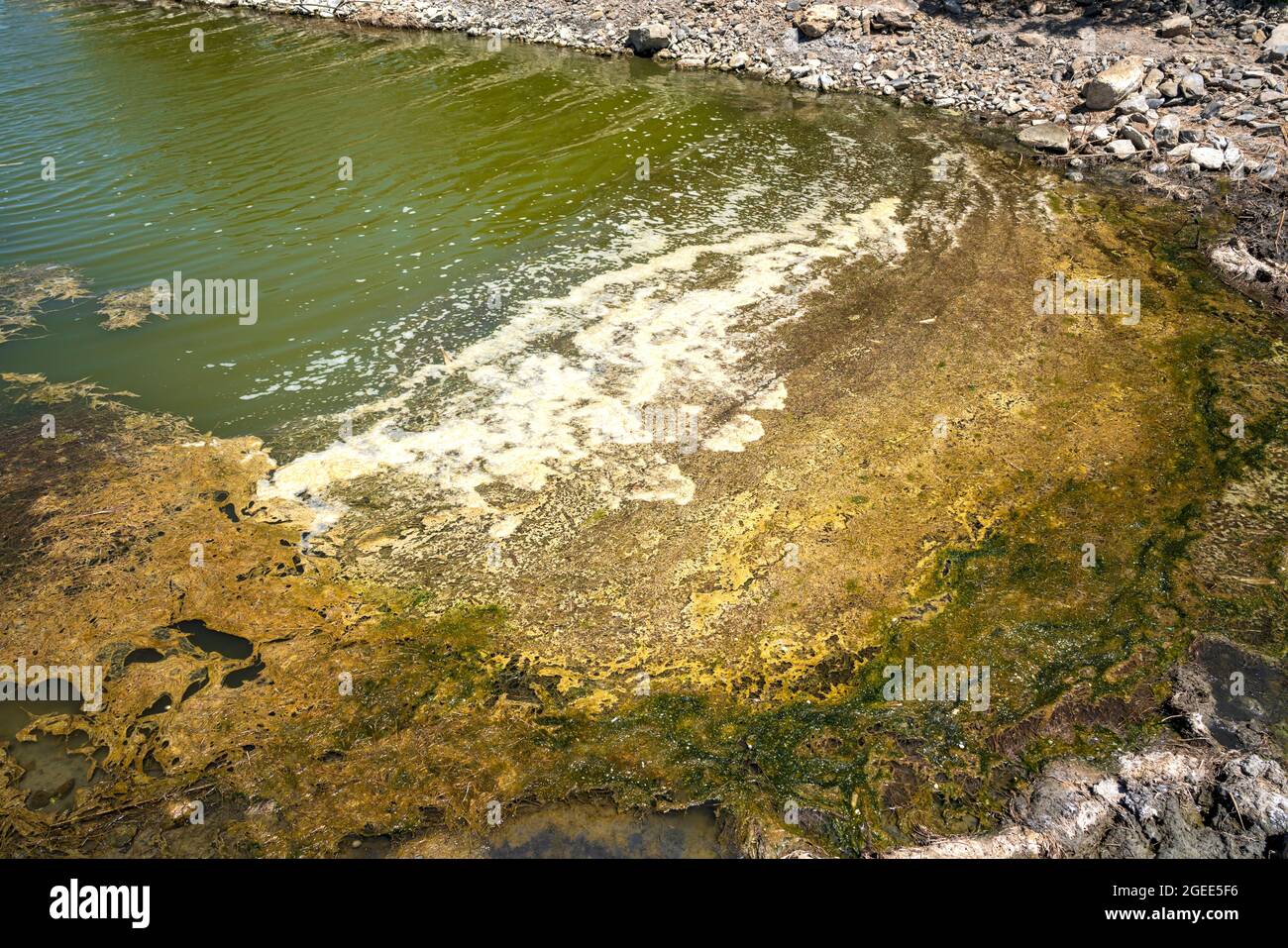 Küste und dreckiger Strand Stockfoto
