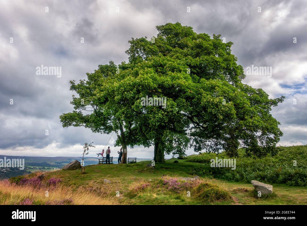 Familie spielt mit ihrer Tochter auf einer Schaukel des Yorkshire-Baumes und fotografiert Landschaften von Ilkley Moor, West Yorkshire, Großbritannien Stockfoto
