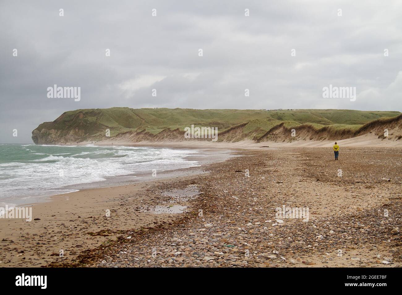 Frau, die auf dem Kiesstrand von Nordjütland, Dänemark, in der Ferne die Bulbjerg, eine Kalksteinklippe Stockfoto