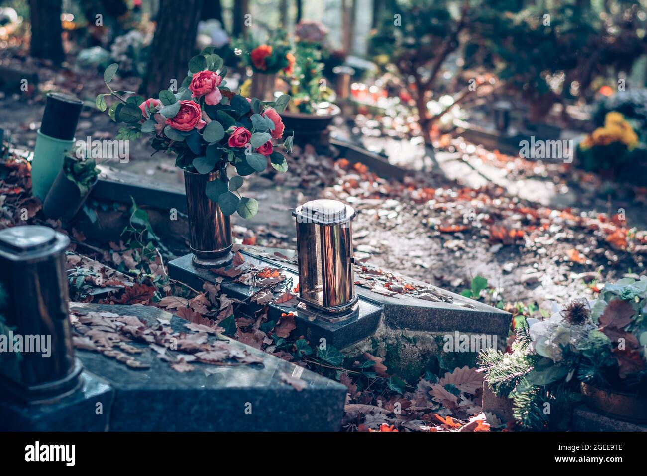 Brennende Kerzen und farbenfrohe Blumendekoration auf dem Grab auf dem Friedhof im Herbst Stockfoto