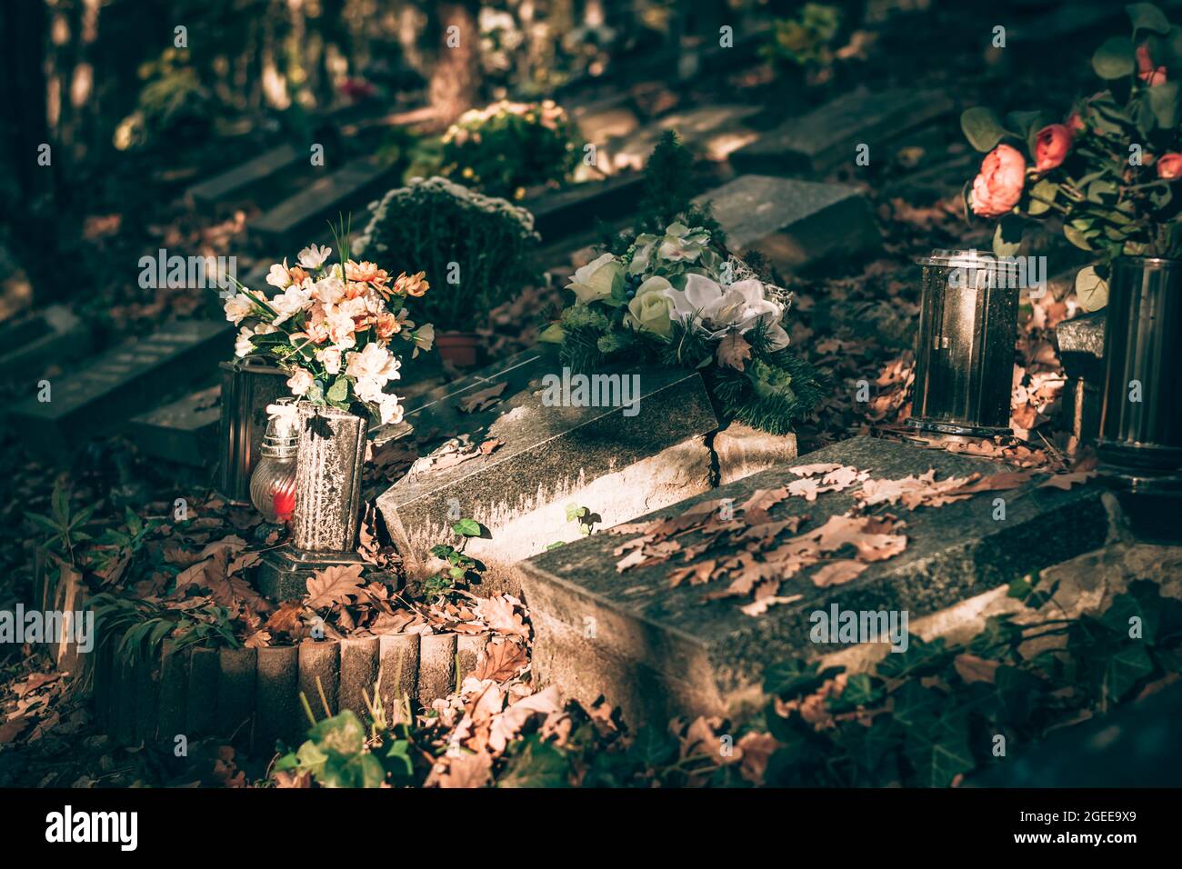Brennende Kerzen und farbenfrohe Blumendekoration auf dem Grab auf dem Friedhof im Herbst Stockfoto