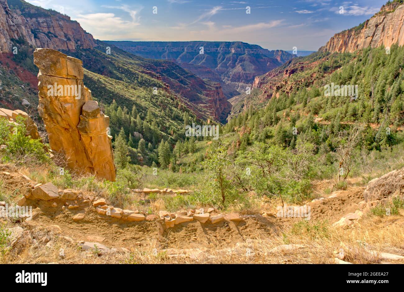 Eine Felssäule entlang des North Kaibab Trail mit dem hellen Angel Canyon im Hintergrund am Grand Canyon North Rim Arizona. Stockfoto