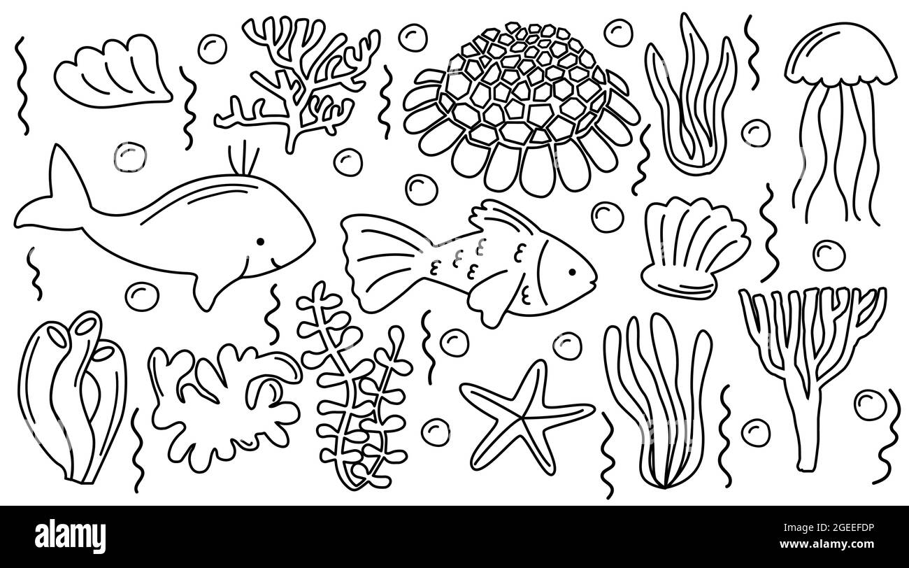 Sea Life Doodle Set. Sammlung von handgezeichneten Illustrationen: Fische, Muscheln, verschiedene Algen, Schindeleigel. Isolierter Vektorsatz Stock Vektor
