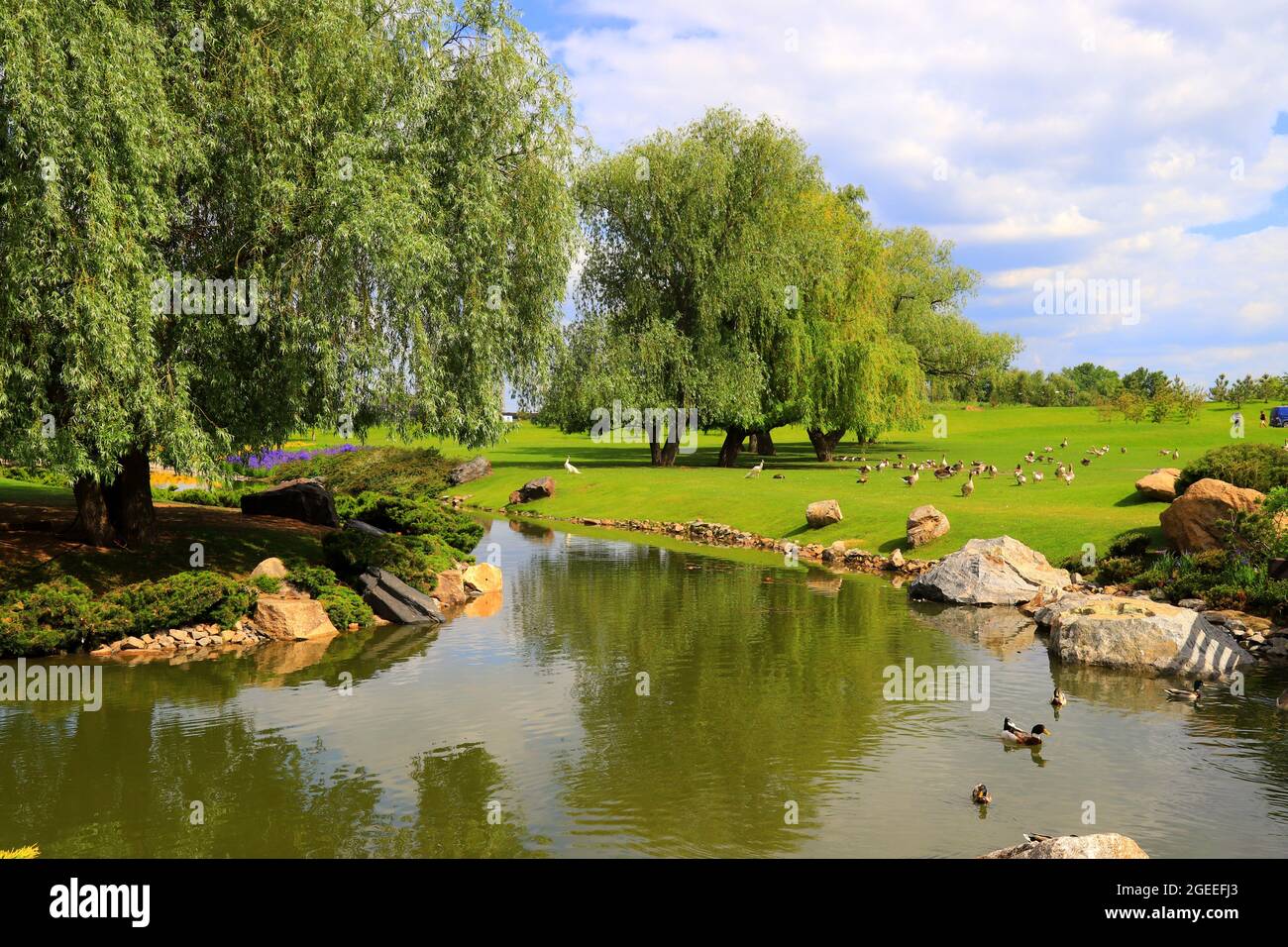 Eine malerische Flusslandschaft, ein kleiner Fluss mit Bäumen am Ufer. Ländlicher Tourismus und Erholung am Stadtrand von Dnipro Stadt, Dnepropetrovsk Stockfoto