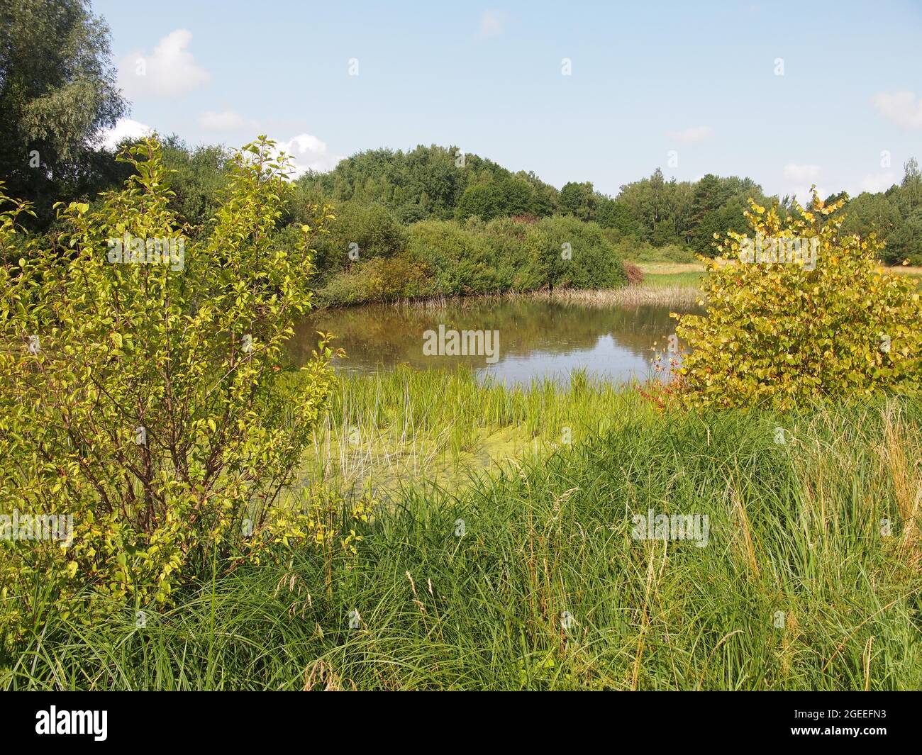 Meteliai Regional Park (Alytus County, Litauen) Stockfoto