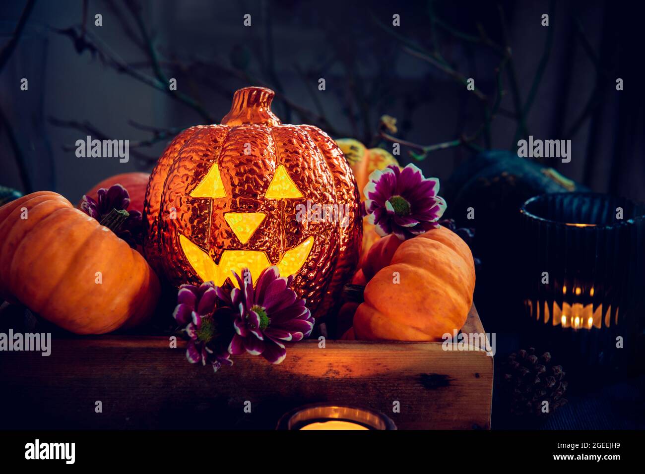Dunkle Halloween Komposition mit Beleuchtung Jack-o-Laterne, dekorativen Kürbissen, Kerzen und Blumen. Halloween-Heimdekor. Selektiver Fokus. Stockfoto