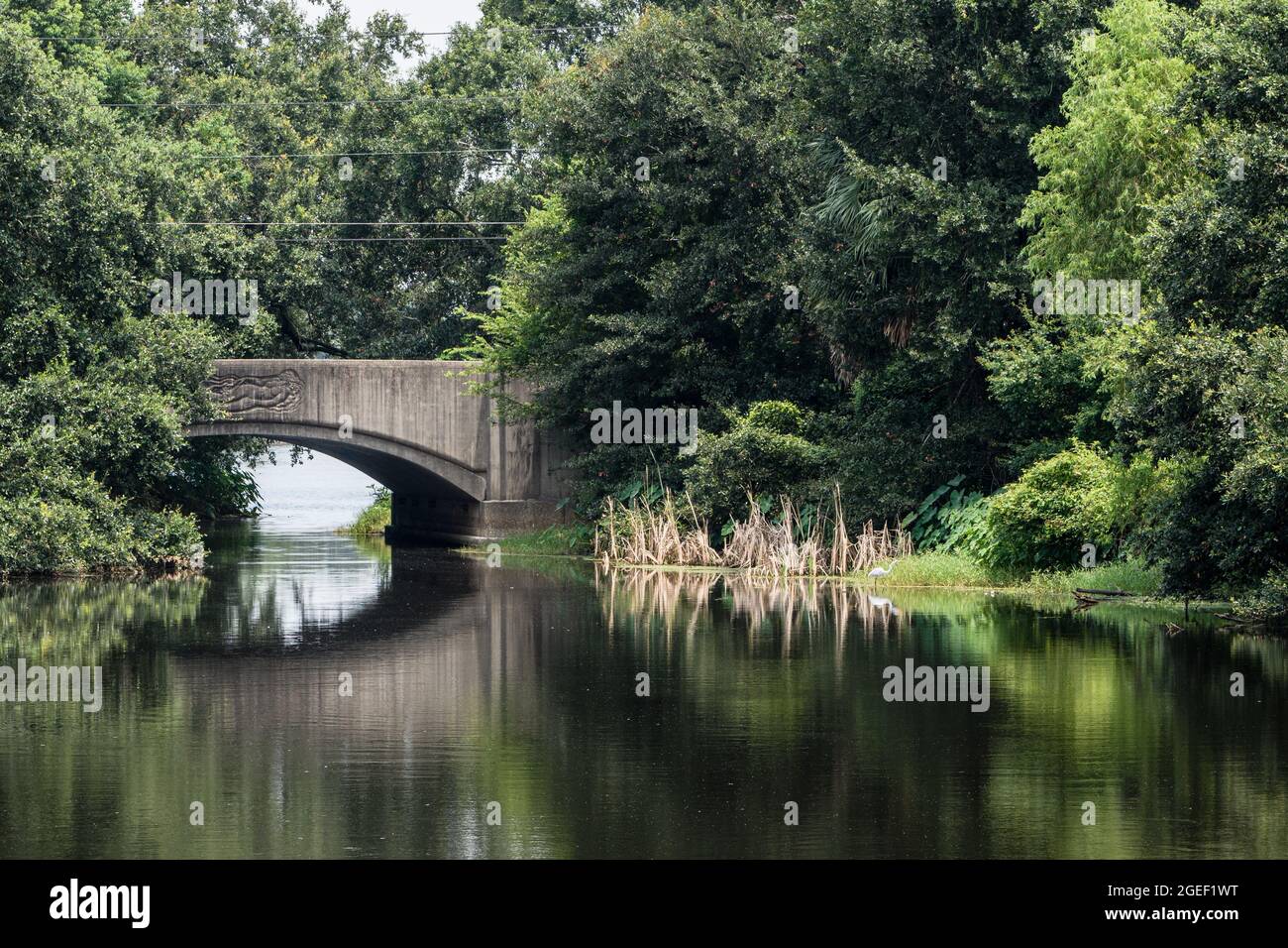 Ruhige City Park-Szene mit Brücke, Reiher, Bäumen und Reflexionen Stockfoto