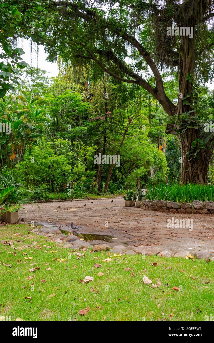 Der städtische öffentliche Park, bekannt als „Campo de São Bento“, wurde aufgrund der während der COVID-19-Pandemie erlassenen Sperre geschlossen und ohne Menschen Stockfoto