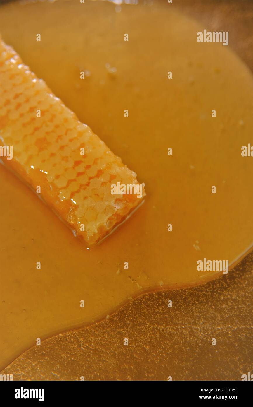 Honigwabe und honey.Organic Healing Dessert. Imkereiprodukte. Stockfoto