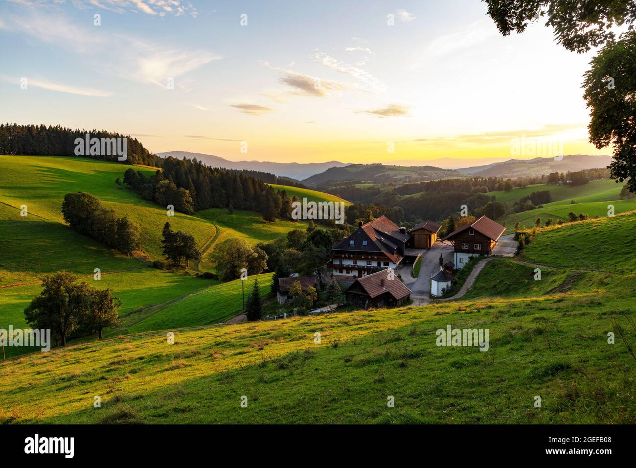 Bauernhof im Abendlicht, St.Märgen, Schwarzwald, Baden-Württemberg, Deutschland, Stockfoto