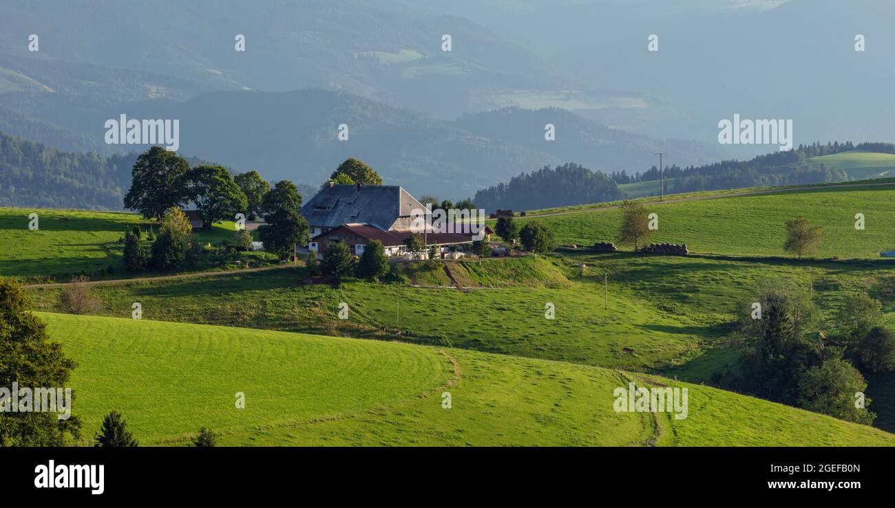 Bauernhof im Abendlicht, St.Märgen, Schwarzwald, Baden-Württemberg, Deutschland, Stockfoto