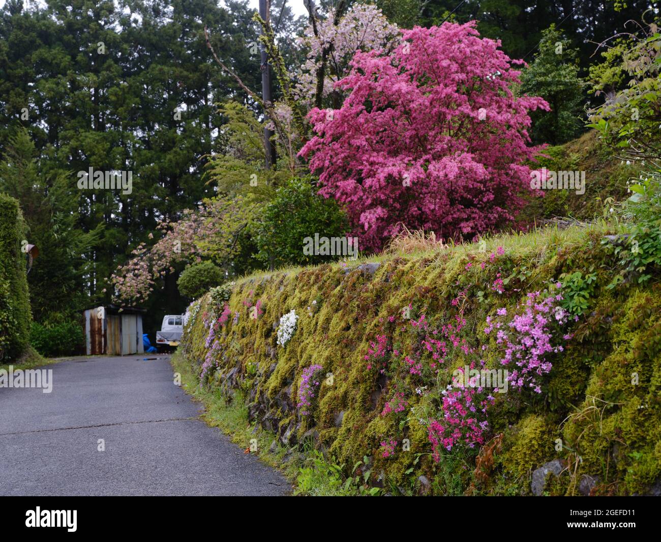 Satoyama-Landschaft Stockfoto
