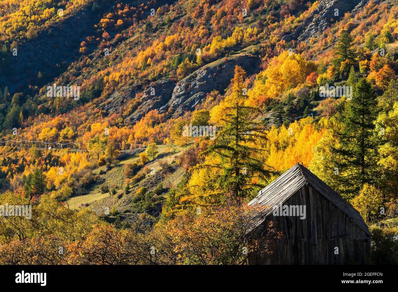 ALPES DE HAUTE-PROVENCE (04), NATIONALPARK MERCANTOUR, BACHELARD VALLEY, CAYOLLE PASS Stockfoto