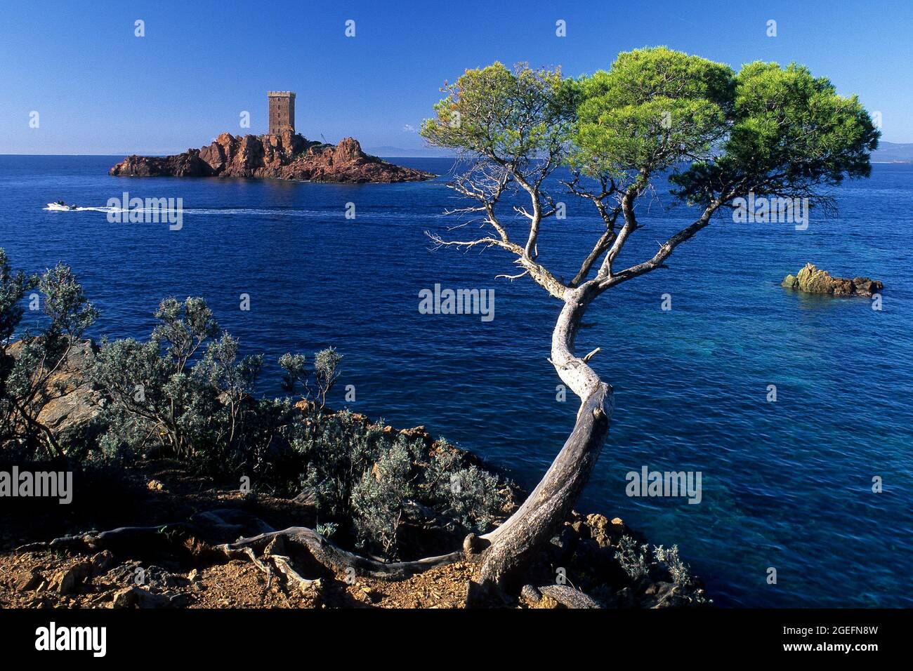 FRANKREICH. VAR (83) L'ILE D'OR (GOLDENE INSEL) UND DAS KAP DRAMONT Stockfoto