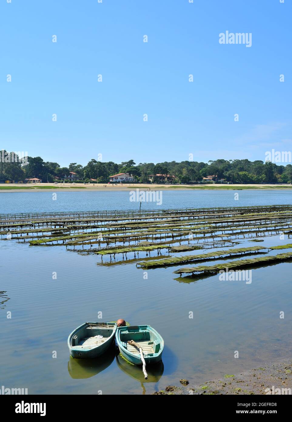 Soorts Hossegor (Südwestfrankreich): See- und Austernbeete Stockfoto