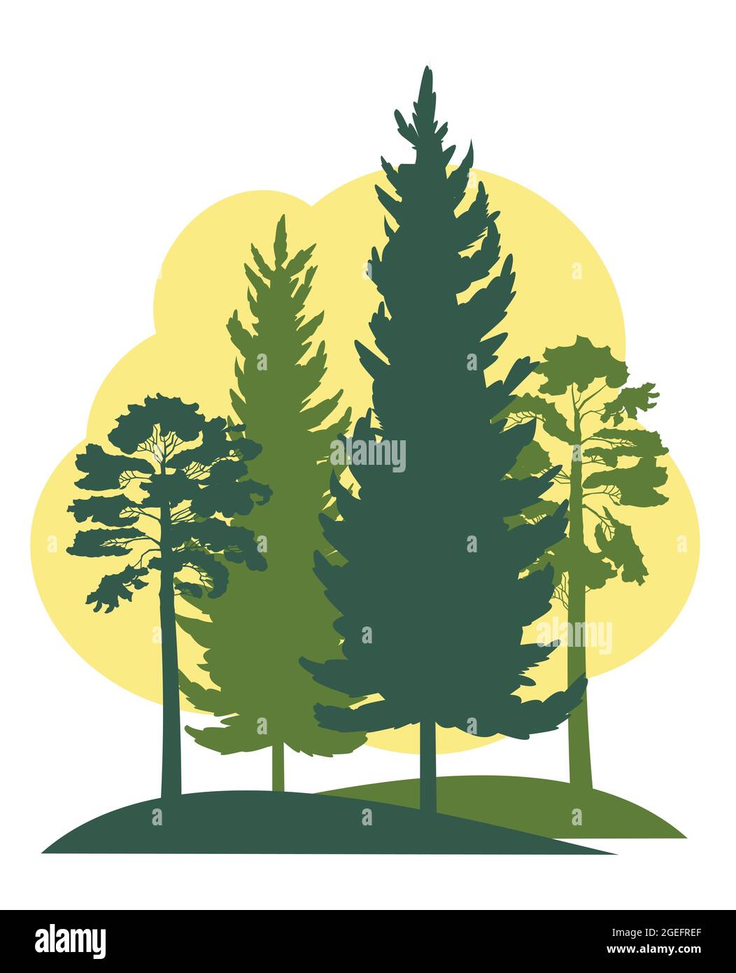 Wald Silhouette Szene. Landschaft mit Nadelbäumen. Wunderschöne Aussicht. Kiefern- und Fichtenbäume. Sommer Natur. Isolierter Illustrationsvektor. Stock Vektor