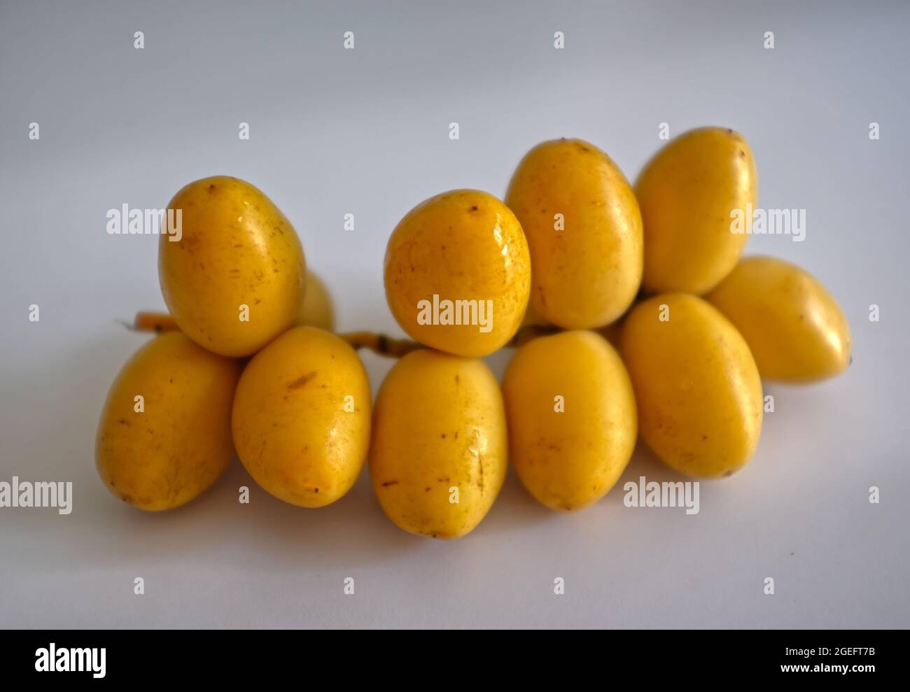 Frische Datteln Stockfoto