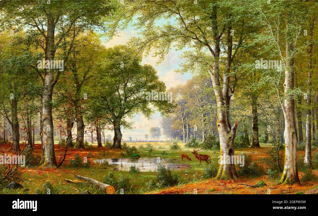 Jacobus Johannes van Poorten Artwork - Abend Woodland Stockfoto