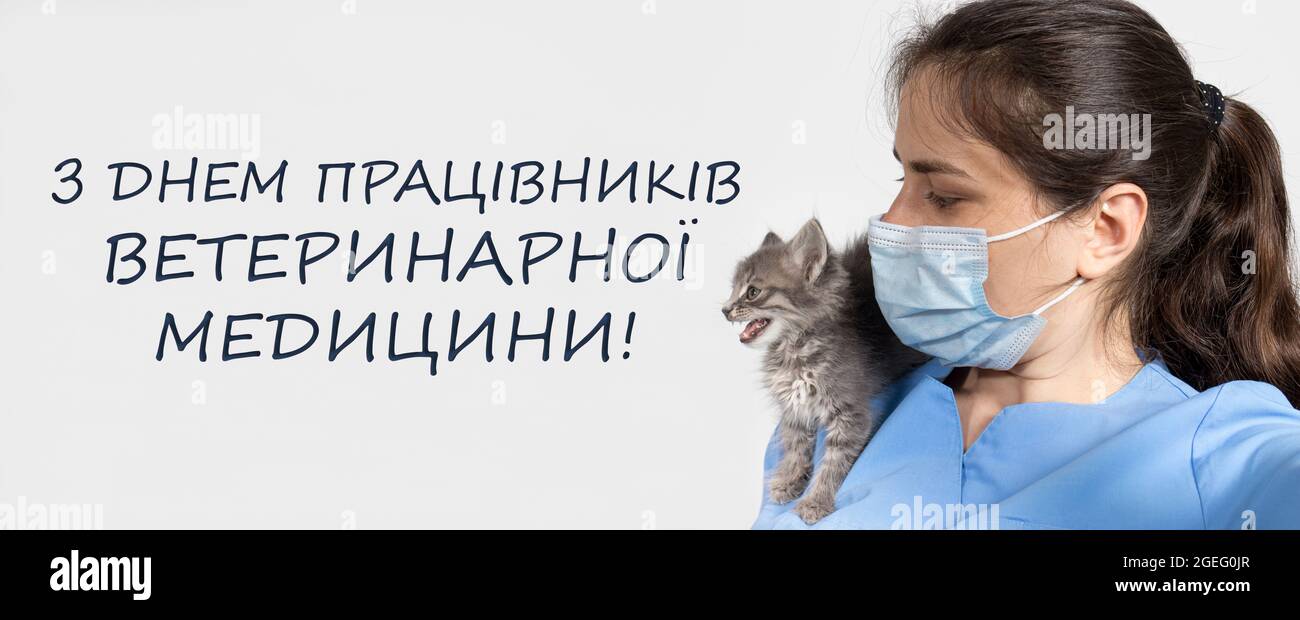 Banner in Ukrainisch, Übersetzung Welttiertag. Tierarzt und Kätzchen, Katze. Stockfoto