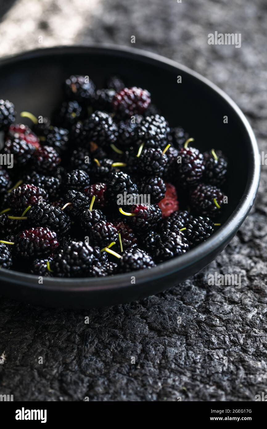 Sommer frische Maulbeerfrüchte. Gesunde Beeren mit Vitamin C und Antioxidantien. Nahaufnahme, Makro. Frische Maulbeerschüssel. Maulbeerhintergrund Stockfoto