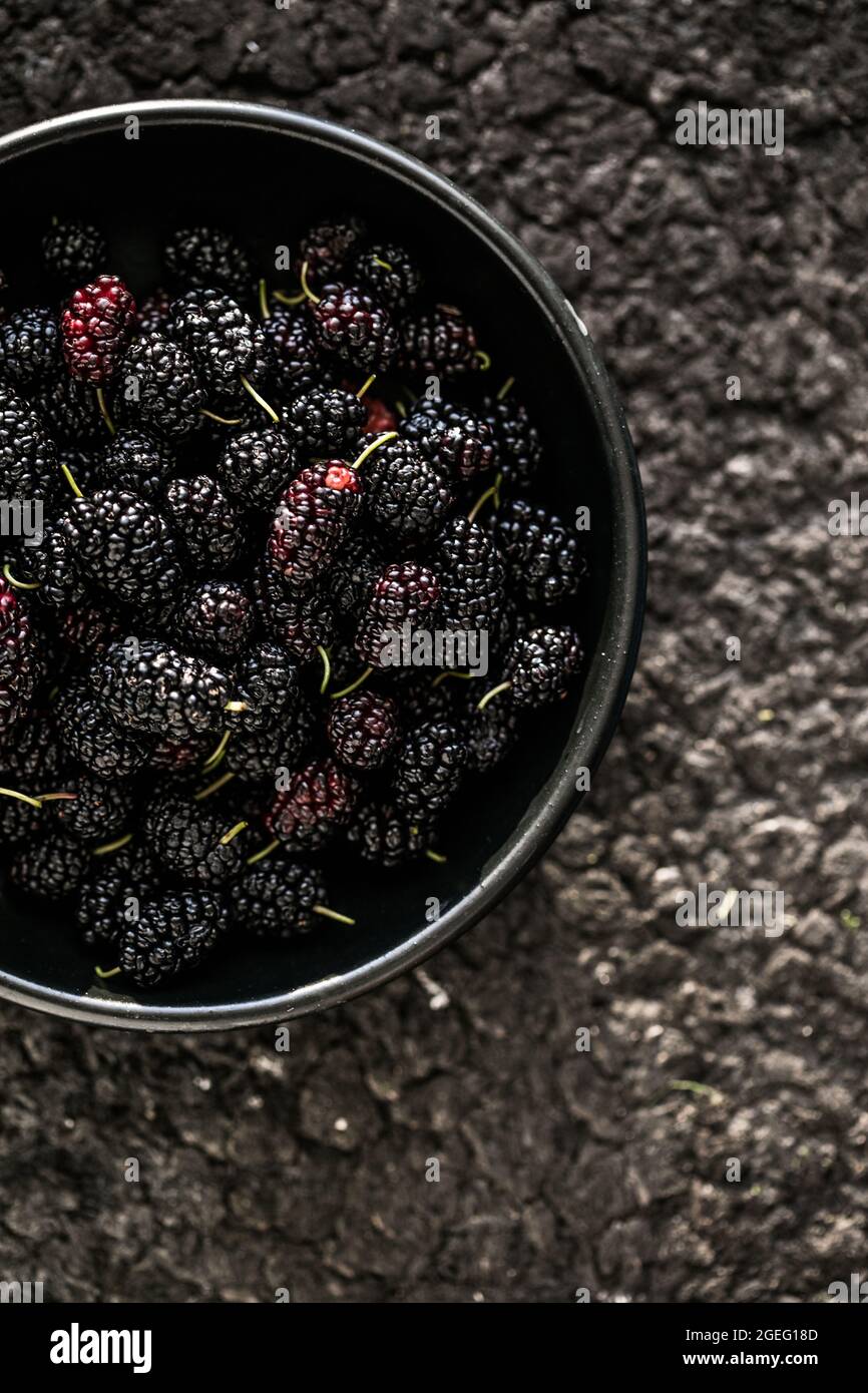 Frische Maulbeeren Hintergrund. Verschiedene sommerliche schwarze Früchte. Stockfoto