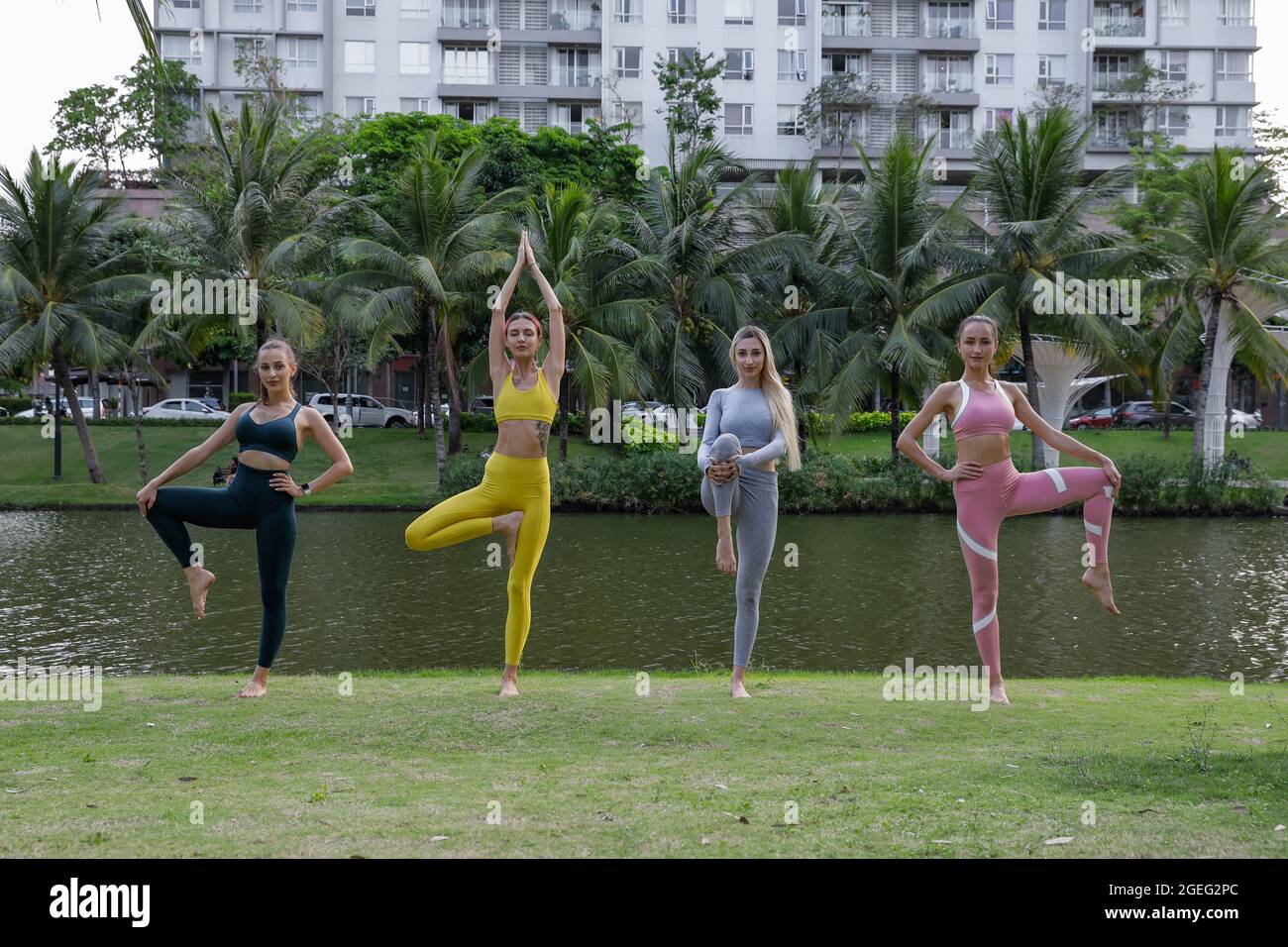 Vier junge Sportgirls machen Stretching- und Yoga-Übungen im Park. Yoga posiert. Gras an der frischen Luft. Stockfoto