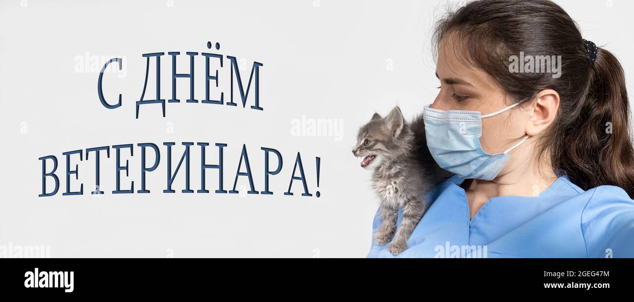 Banner auf Russisch, Übersetzung Welttiertag. Tierarzt und Kätzchen, Katze. Stockfoto