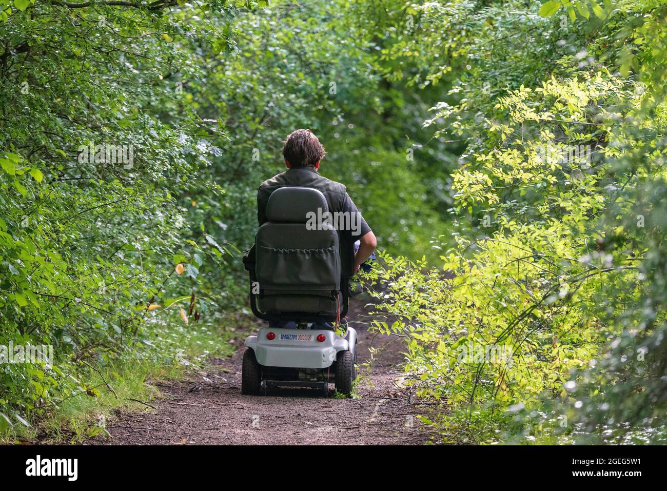 Fahren Sie mit einem dsability-Motorroller durch eine bewaldete Landstraße. Stockfoto
