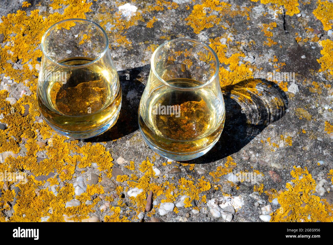 Verkostung von Single Malt und Blended Scotch Whisky im Freien, private Whisky-Touren in Schottland, Großbritannien Stockfoto