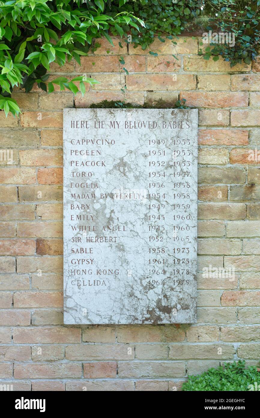 Plakette für Peggy Guggenheim's Dogs, Guggenheim Museum, Venedig, Italien Stockfoto