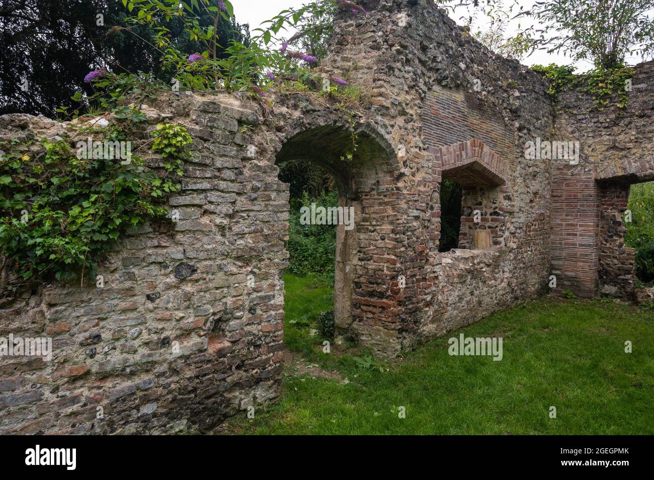 Die Ruinen von Trowse Newton Hall im Whittligham Country Park in der Nähe von Norwich norfolk england Stockfoto