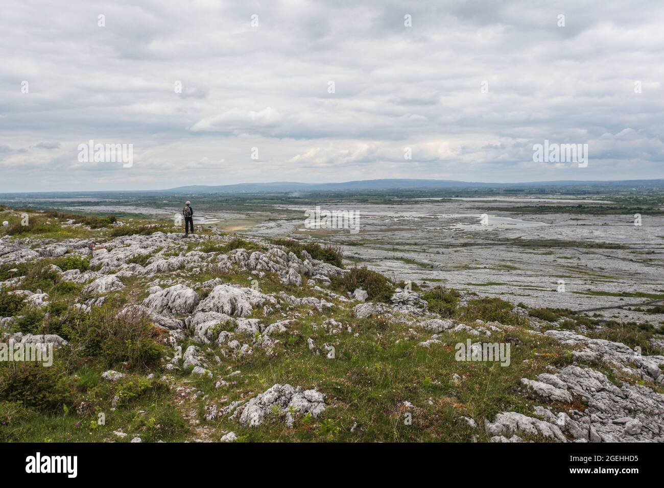 Der Burren-Nationalpark enthält Beispiele aller wichtigen Lebensräume und Landformen, die in den Burren-Kalkfelden zu finden sind Stockfoto