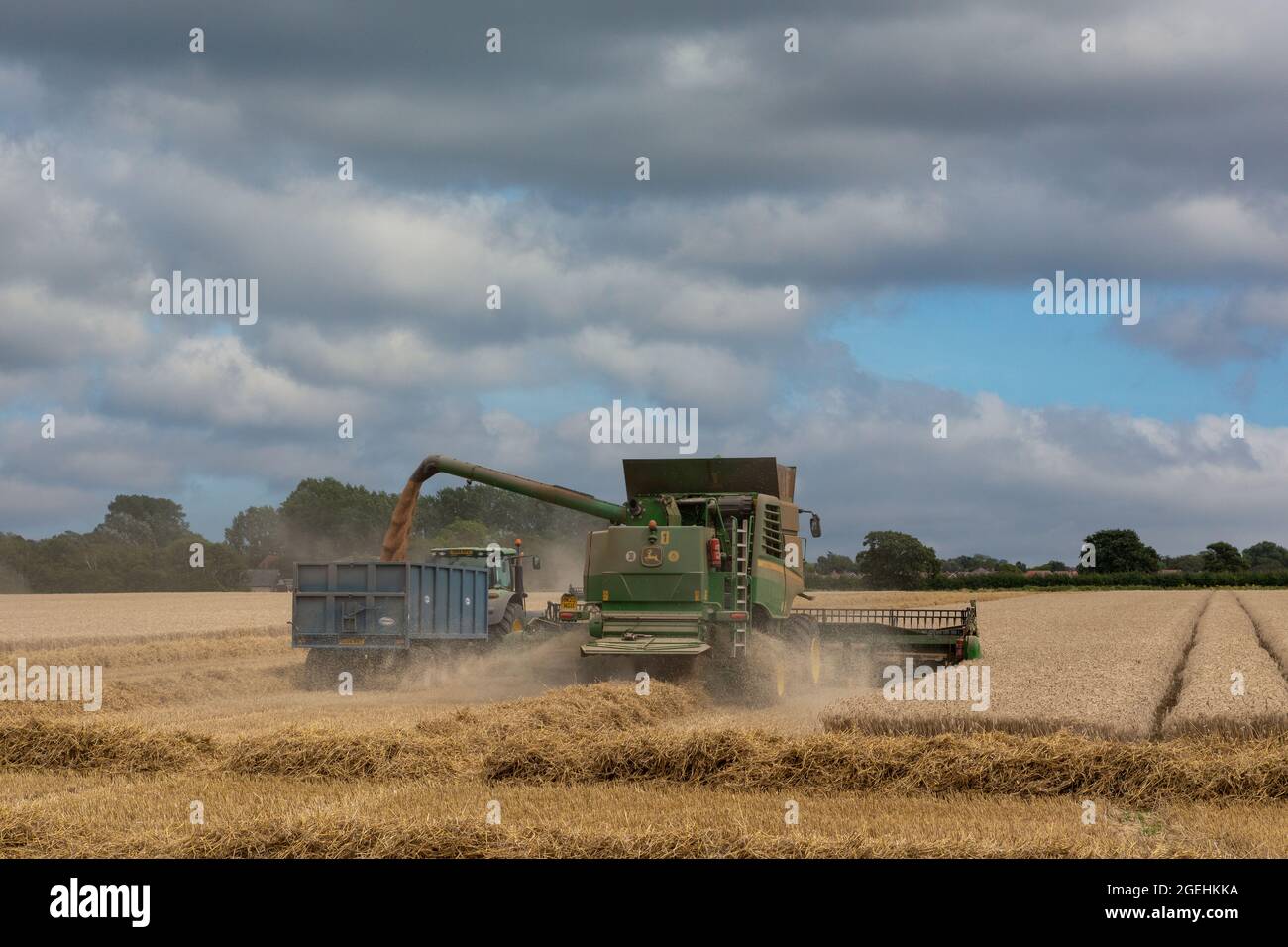 John Deere kombinieren Harvester, um ein Weizenfeld im Süden Englands leicht zu bearbeiten. Stockfoto