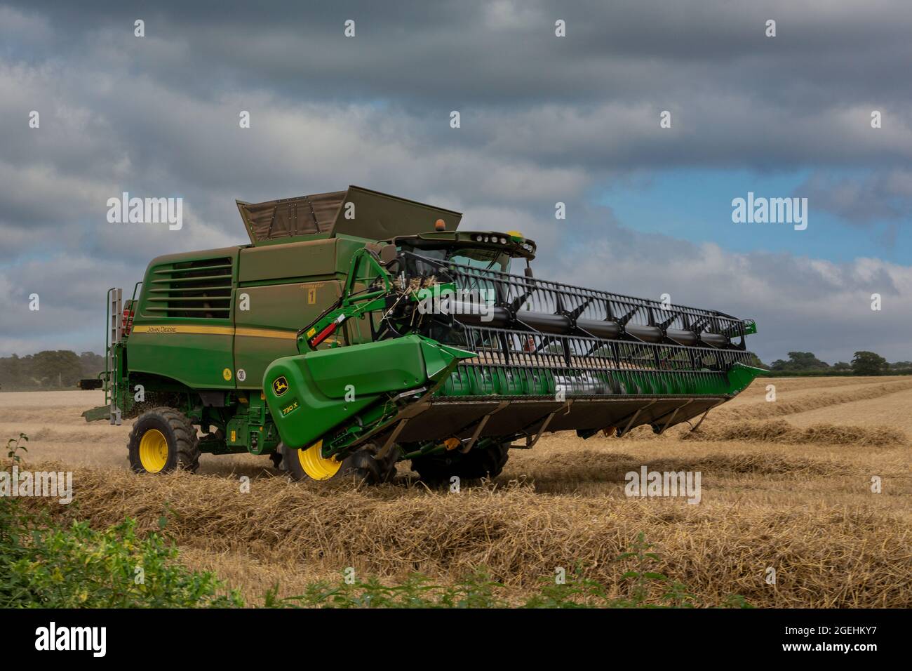 John Deere kombinieren Harvester, um ein Weizenfeld im Süden Englands leicht zu bearbeiten. Stockfoto