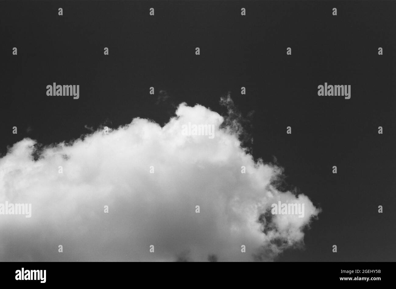 Eine Cumulonimbuswolke am Sommerhimmel. Diese weiße, geschwollene Wolke wurde auf Schwarzweißfilm gedreht. Stockfoto