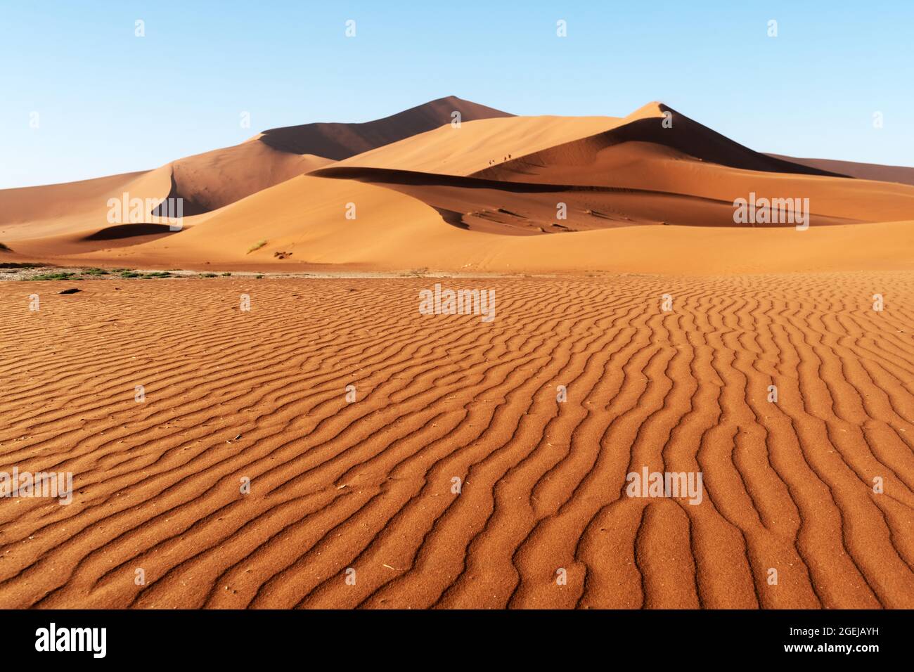 Orangefarbene Sanddünen und klarer Himmel in der Namib-Wüste im Namib-Naukluft National Park von Namibia, Afrika. Landschaftsfotografie Stockfoto