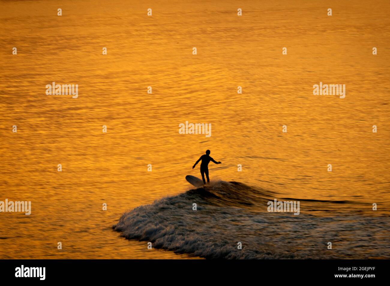 Isla Vista, Kalifornien, USA. August 2021. Ein Surfer reitet bei Sonnenaufgang am Coal Oil Point auf einer Welle. (Bild: © Erick Madrid/ZUMA Press Wire) Bild: ZUMA Press, Inc./Alamy Live News Stockfoto