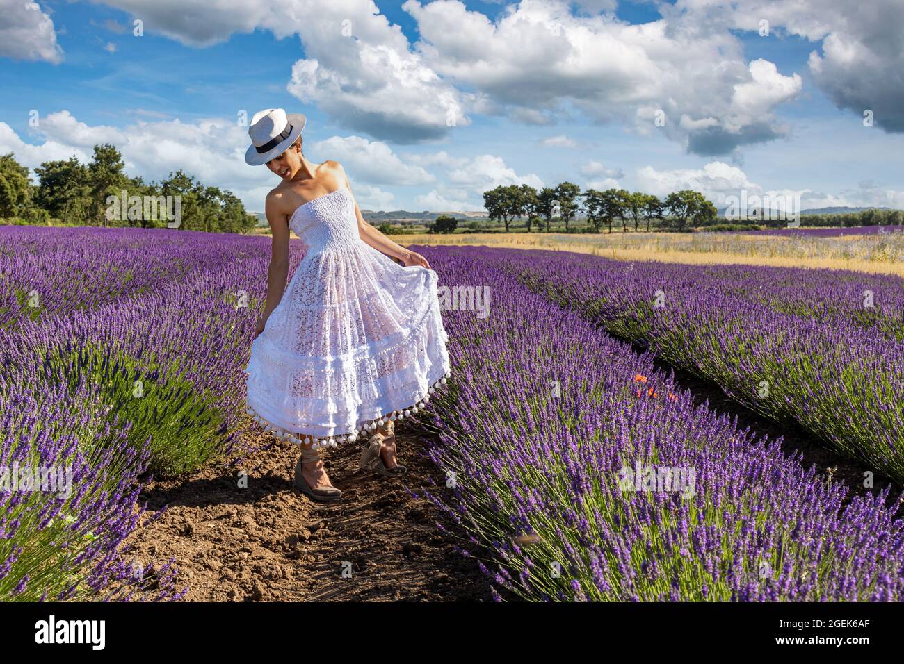 Schöne Frau posiert in einem blühenden Lavendelfeld mit ihrem weißen Kleid und Hut. Konzept von Freiheit und Spaß. Stockfoto