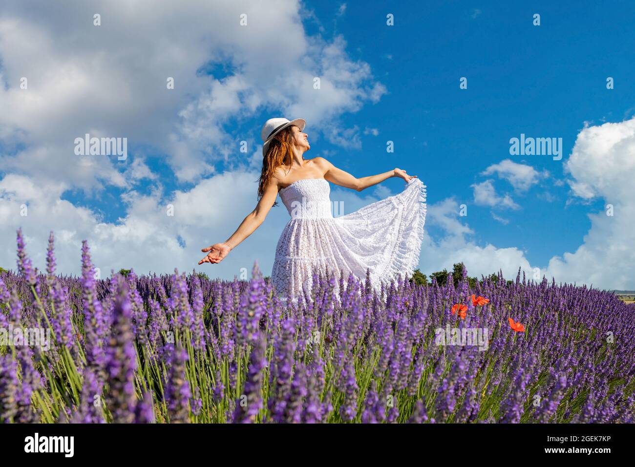 Junge Frau mit langen braunen Haaren, die in einem Lavendelfeld singt und tanzt. Konzept von Glück und Wohlbefinden in der Natur. Stockfoto