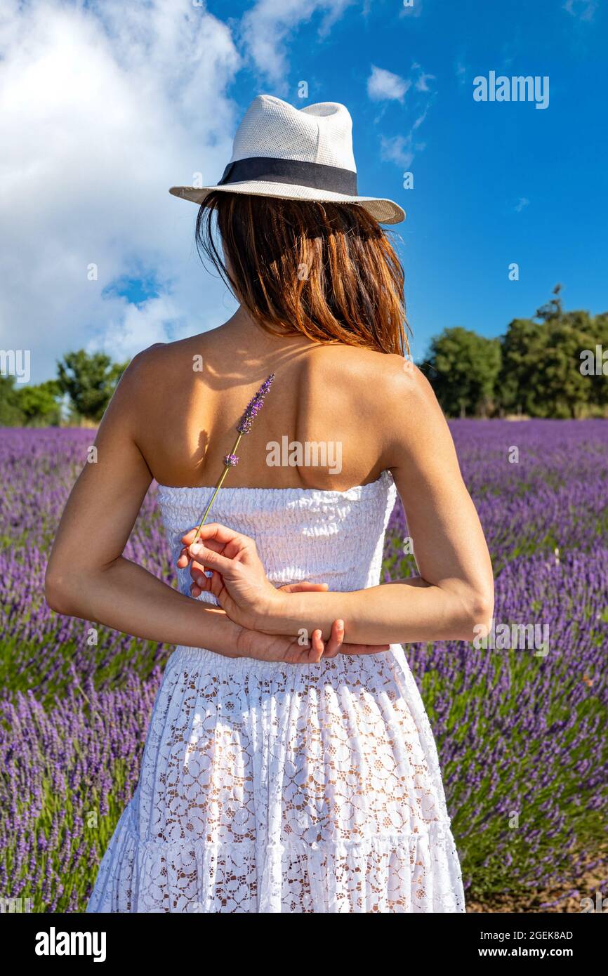 Rückansicht einer Frau in einem blühenden Feld mit einer Lavendelquelle in ihren Händen. Konzept von Wohlbefinden und Liebe zur Natur. Stockfoto