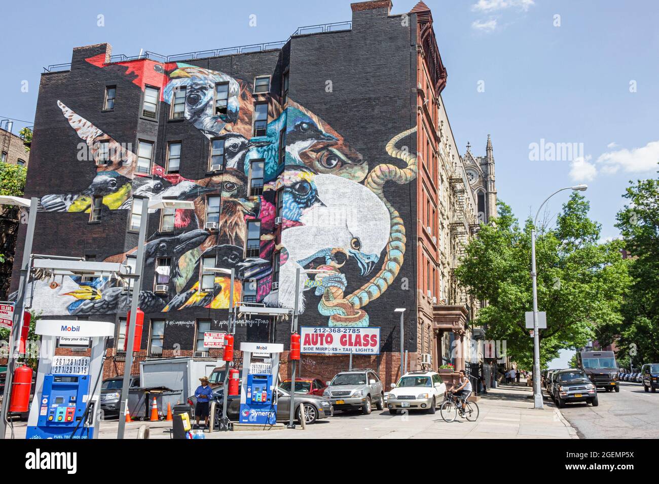 New York City, NY NYC Upper Manhattan, West 155 Street Audubon Mural Project, Swallow-tailed Kite Lunar New Year Street Scene, Stockfoto