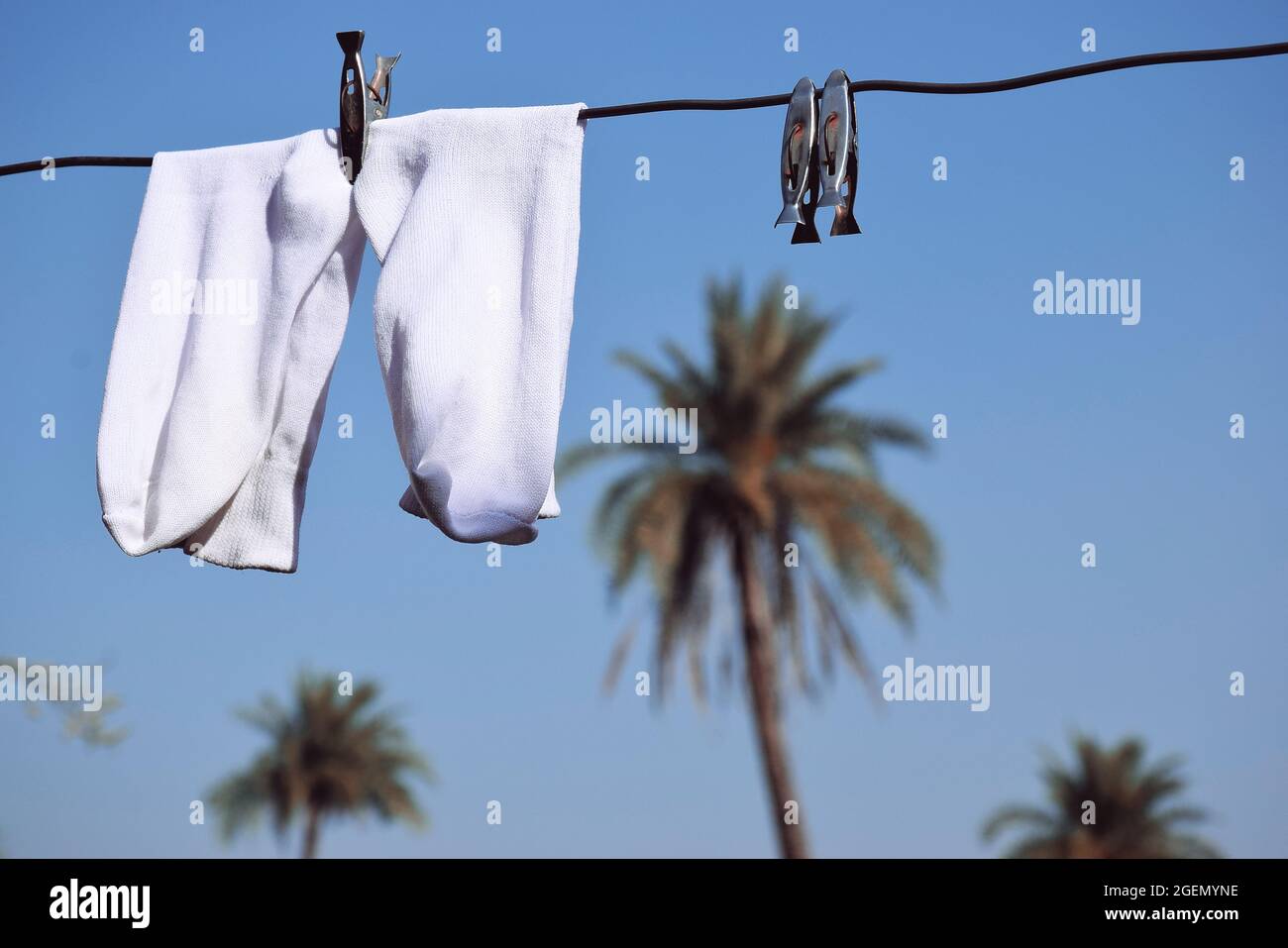 Weiße Socken hingen am Draht, blauer Himmel und Palmen im Hintergrund Stockfoto