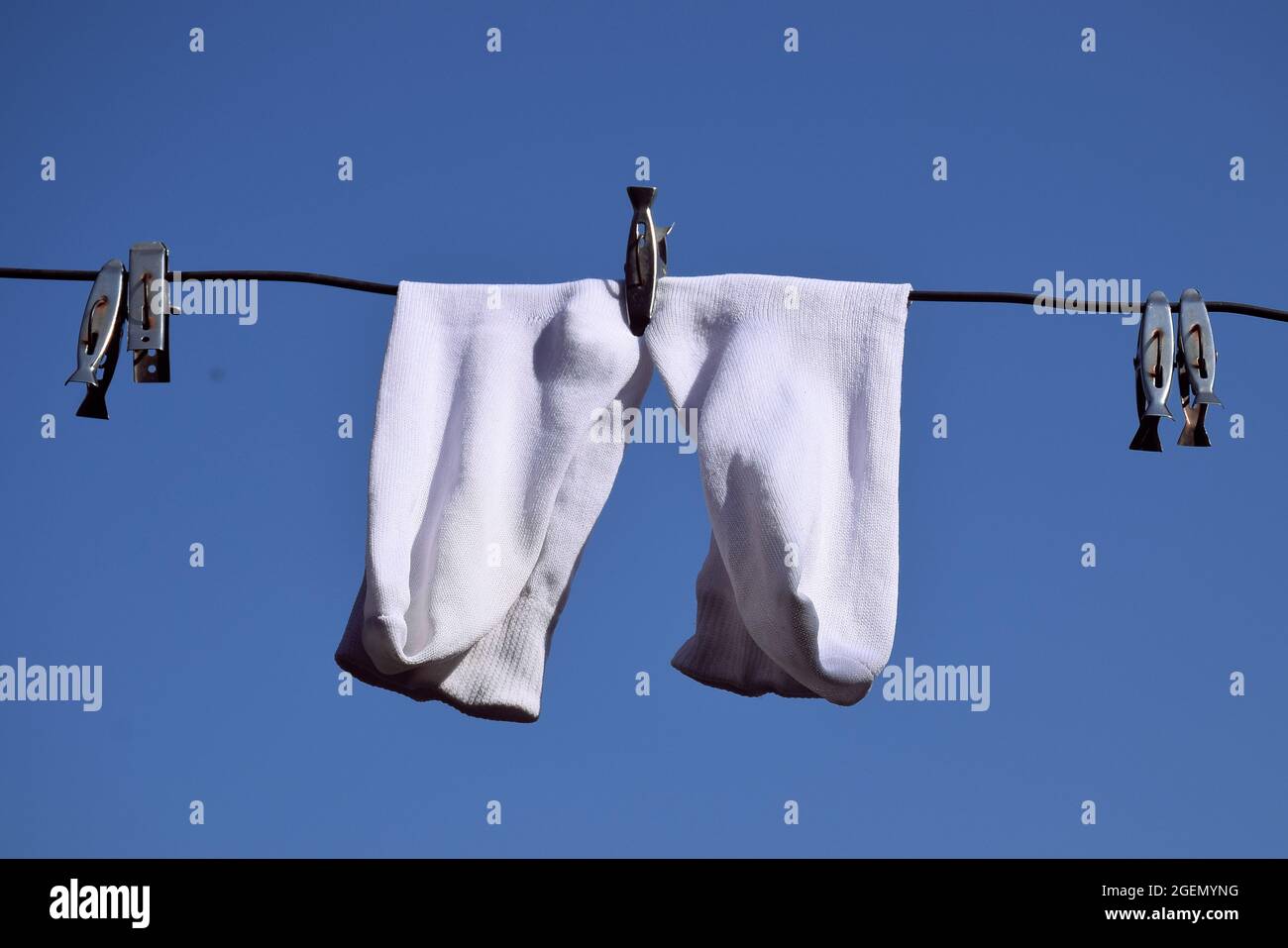 Weiße Socken hingen am Draht, blauer Himmel und Palmen im Hintergrund Stockfoto