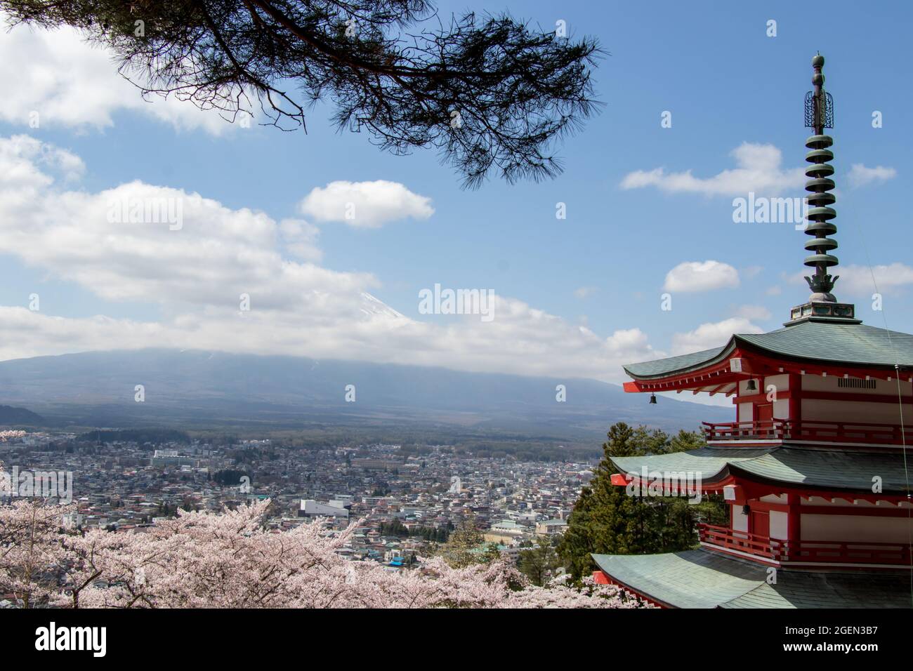 Chureito Pagode und Kirschblüte als Vordergrund und fuji als Hintergrund, Reiseziel in japan Stockfoto