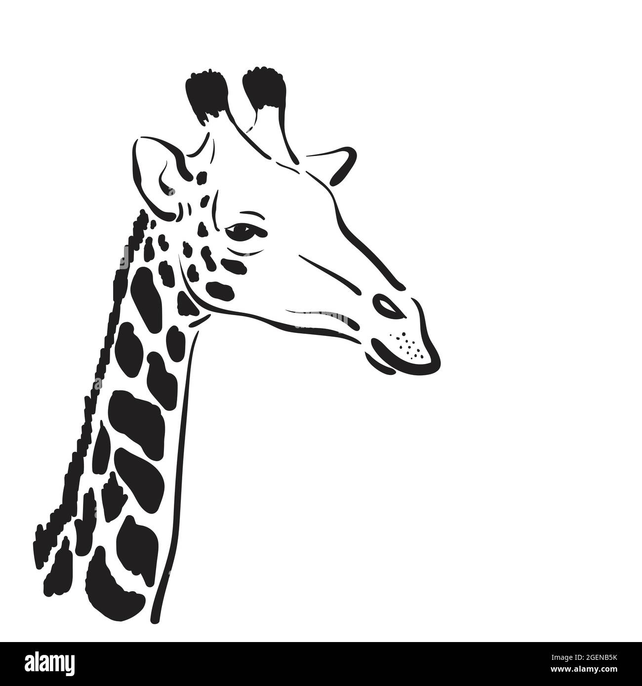 Vektor eines Giraffenkopfes auf weißem Hintergrund, Wilde Tiere. Leicht editierbare Vektorgrafik mit Ebenen. Stock Vektor